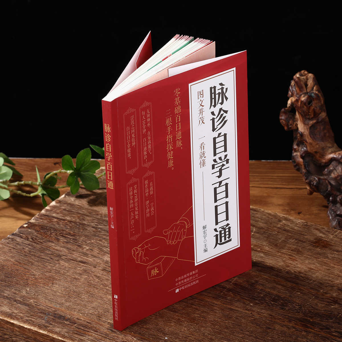脈診独学百日合格、伝統中国医学入門独学健康書 - Health & Wellness Tablet Cutter のレビューと価格