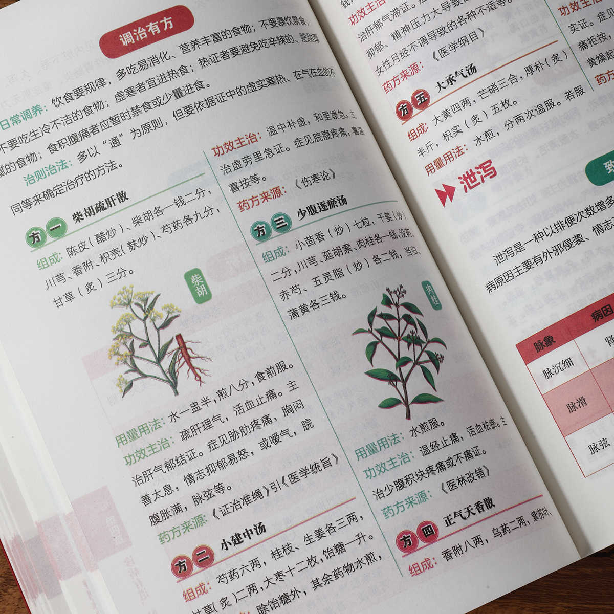 脈診独学百日合格、伝統中国医学入門独学健康書 - Health & Wellness Tablet Cutter のレビューと価格